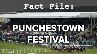 Fact File Punchestown Festival [upl. by Lorenza]