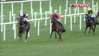 Punchestown Festival Day2 Highlights [upl. by Kleeman604]