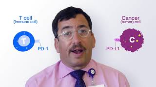 Explaining Immunotherapy PDL1 and PD1 [upl. by Inat]