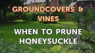 When to Prune Honeysuckle [upl. by Daria12]