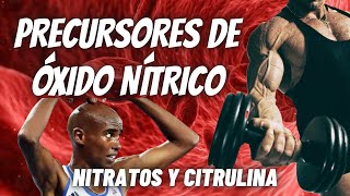 💪 PRECURSORES DE ÓXIDO NÍTRICO  ¡TIENES QUE VER ESTO 💪 [upl. by Adihaj]