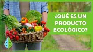 PRODUCTOS ECOLÓGICOS 🌏🌱 Qué son Beneficios y Ejemplos [upl. by Angus]