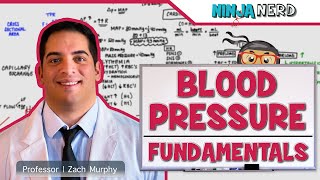 Cardiovascular  Fundamentals of Blood Pressure [upl. by Regen]