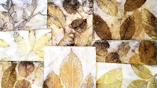 Eco Printing on Paper  Eco Dyeing With Frozen Leaves [upl. by Nahsad]