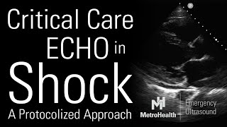 Critical Care Echocardiography in Shock [upl. by Ormsby]