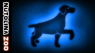 Blaffende hond geluid  Hunde bellen sound  Dog sound effect  Dźwięk psa [upl. by Nivanod]