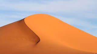 The Sahara desert  Ecosystems [upl. by Ebony595]