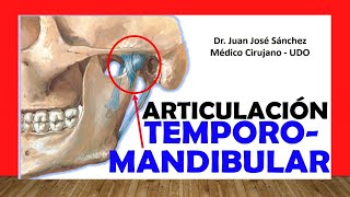 🥇 Articulación TEMPOROMANDIBULAR Fácil Rápida y Sencilla [upl. by Oznarol]