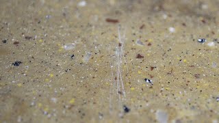 Removing Scratches From Countertops [upl. by Romine]