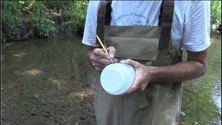 How to Collect Water Samples [upl. by Drofkcor449]