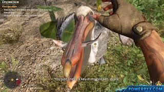 Far Cry 6  A Little Birdie Told Me Treasure Hunt Walkthrough [upl. by Drabeck538]