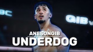 AnEsonGib UNDERDOG  Boxing Documentary [upl. by Enyrhtak]