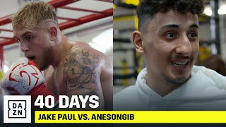 40 DAYS  Jake Paul vs AnEsonGib [upl. by Wagshul]