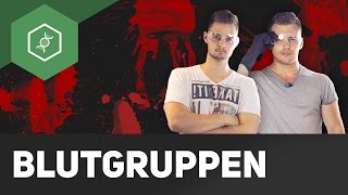 Blutgruppen bestimmen – Live Experiment [upl. by Aracahs]