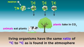 Radiometric Dating Carbon14 and Uranium238 [upl. by Nnylirak]