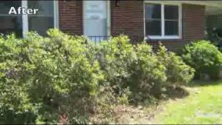 How to Prune Azaleas [upl. by Ardeen]