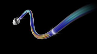 How Do Cilia and Flagella Move [upl. by Vergil]