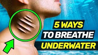 5 Insane Ways to Breathe Underwater [upl. by Ernaline584]