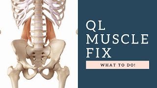 FIX Quadratus Lumborum QL Muscle Back Pain By Following These Exercises amp Tips [upl. by Eseeryt]