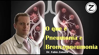 11 O Que É Pneumonia e Broncopneumonia [upl. by Darci]