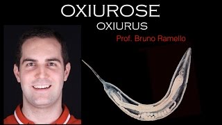 Verminoses  Oxiurose ou Oxiurus [upl. by Irving]