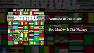 Ambush In The Night 1979  Bob Marley amp The Wailers [upl. by Alduino]