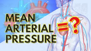 Systemic Vascular Resistance Total Peripheral Resistance  Cardiology [upl. by Yrogerg]