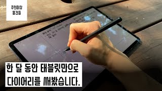 사람들은 왜 태블릿으로 다이어리를 쓰는 걸까  장단점 다꾸 속지 4K [upl. by Cummine]