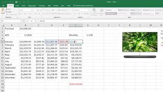 Compound Interest  Using Excel [upl. by Fuchs954]