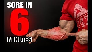 Ripped Forearms Workout SORE IN 6 MINUTES [upl. by Anen]