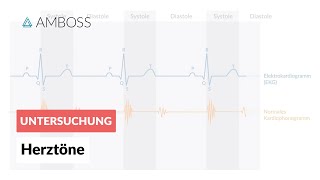 Physiologische Herztöne  AMBOSS  Video [upl. by Anoyek]