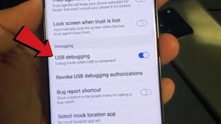 Galaxy S20 How to Enable USB Debugging in Developer Options [upl. by Moise146]