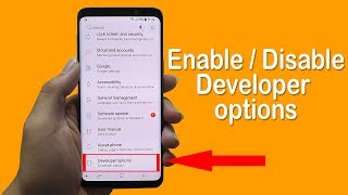 How to Enable  Disable Developer Option on Android 2019 [upl. by Lexa422]