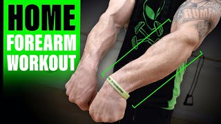 Intense 6 Minute At Home Forearm Workout [upl. by Mages]