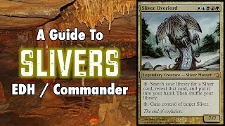 MTG  A Study In Slivers  A Guide To EDH  Commander Sliver Decks in Magic The Gathering [upl. by Ackerley]