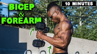 10 MINUTE LIGHTWEIGHT DUMBBELL BICEP amp FOREARM WORKOUT [upl. by Vijar]