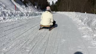 Sledging in Les Diablerets [upl. by Ettellocin]