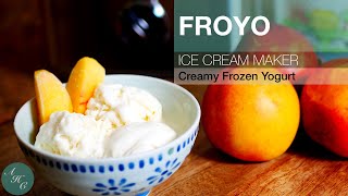 FROZEN YOGURT Recipe with Ice Cream Maker [upl. by Thorrlow947]