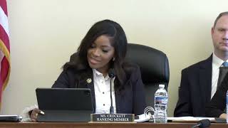 Ranking Member Jasmine Crockett delivers opening remarks [upl. by Shanta]