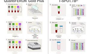 Interferon Gamma Release Assays IGRAs [upl. by Atrim466]