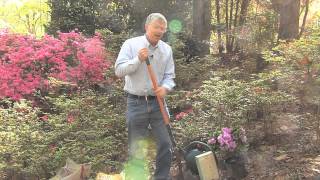 Walter Reeves – Planting Azaleas [upl. by Anhavas]