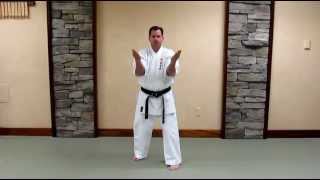 Uechi Ryu Sanchin Kata  Basic Study Guide [upl. by Nadabb]