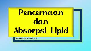 Metabolisme LipidPencernaan dan Absorpsi Lipid [upl. by Anassor]