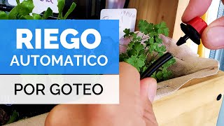 RIEGO AUTOMATICO para HUERTO URBANO 💧  Tutorial  Paso Sustentable [upl. by Gretal]