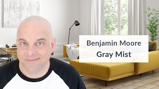 Benjamin Moore Gray Mist Color Review [upl. by Airdna102]