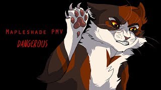 WARRIORS Mapleshade PMV  Dangerous [upl. by Raymund]