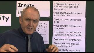 Immunity 6 Interferons protection from viral infections [upl. by Katzen]