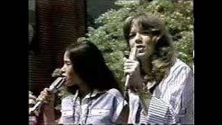 Starland Vocal Band  Afternoon Delight 1976 [upl. by Hymen]