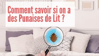 Comment Savoir si on a des Punaises de Lit  Comment Détecter les Punaises de Lit [upl. by Federico774]