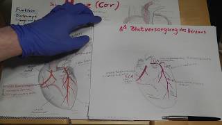 PRÜFUNGSWISSEN Blutversorgung des Herzens Herzkranzgefäße amp Herzinfarkt erklärt [upl. by Sharp]